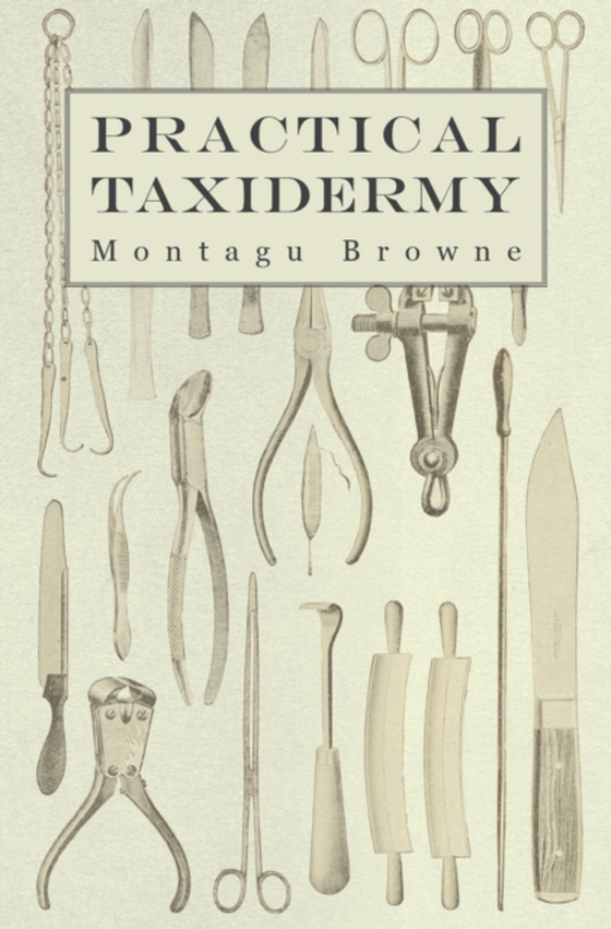 Practical Taxidermy (e-bog) af Browne, Montagu