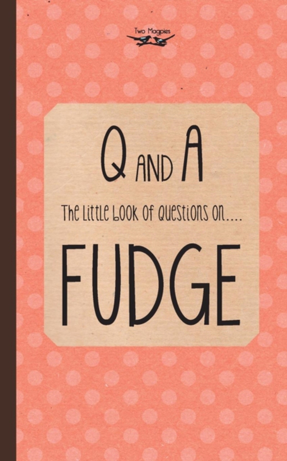 Little Book of Questions on Fudge