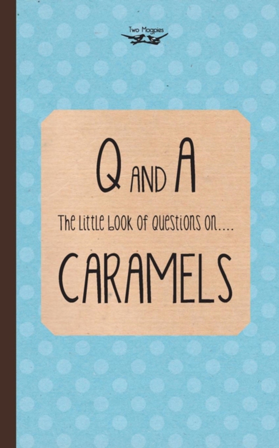 Little Book of Questions on Caramels (Q & A Series)