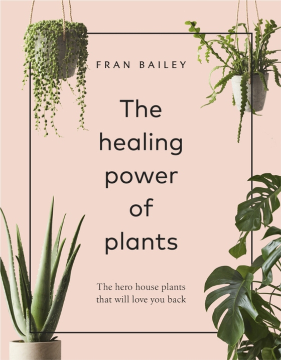 Healing Power of Plants (e-bog) af Bailey, Fran