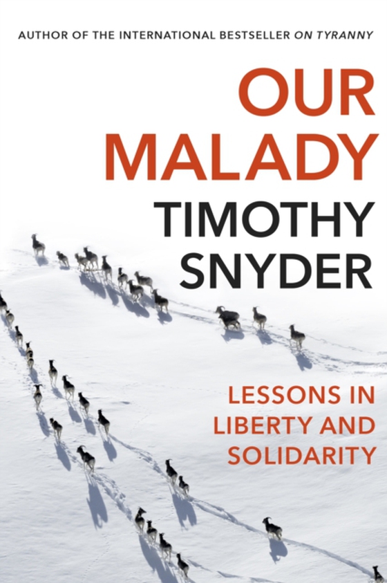 Our Malady (e-bog) af Snyder, Timothy