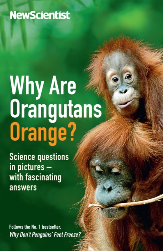 Why Are Orangutans Orange? (e-bog) af New Scientist
