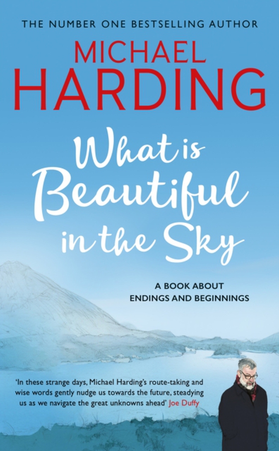 What is Beautiful in the Sky (e-bog) af Harding, Michael
