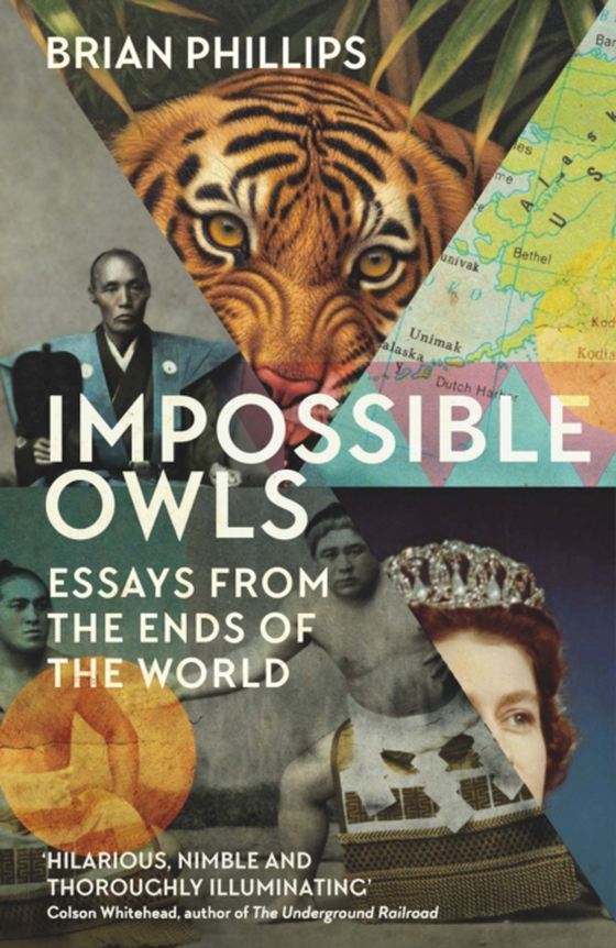 Impossible Owls (e-bog) af Phillips, Brian