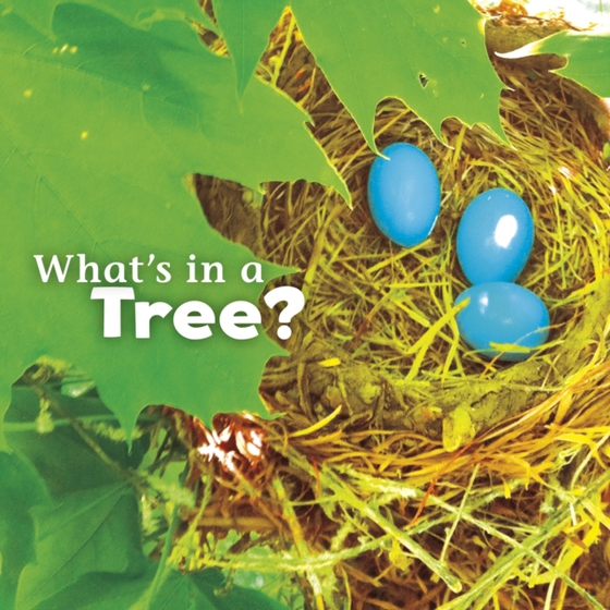 What's in a Tree? (e-bog) af Rustad, Martha E. H.