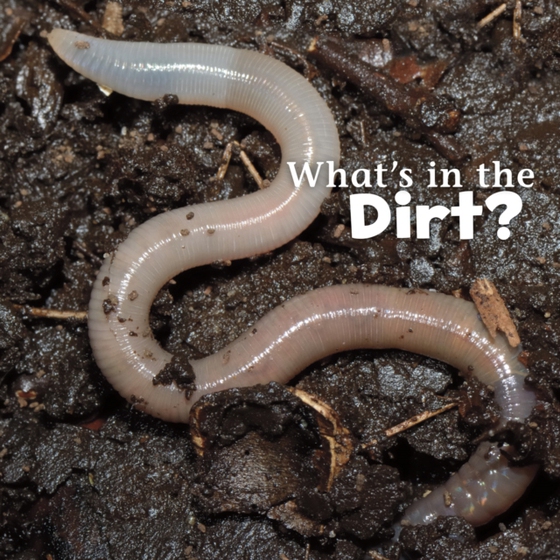 What's in the Soil? (e-bog) af Rustad, Martha E. H.