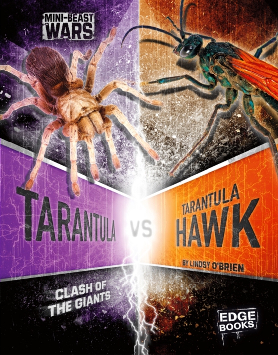 Tarantula vs Tarantula Hawk (e-bog) af O'Brien, Lindsy