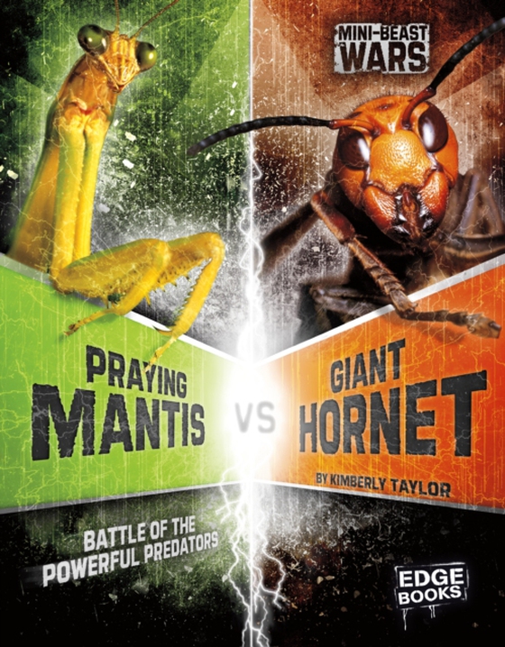 Praying Mantis vs Giant Hornet (e-bog) af Klepeis, Alicia Z.