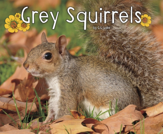 Grey Squirrels (e-bog) af Lake, G.G.