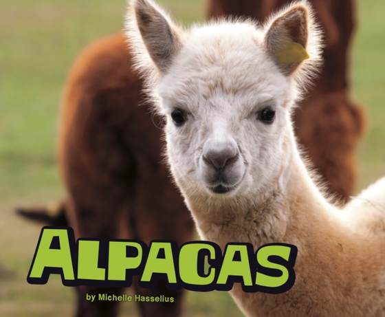 Alpacas