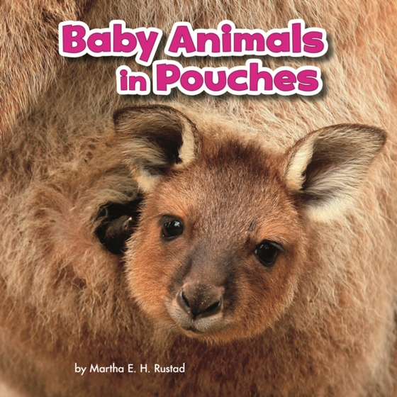 Baby Animals in Pouches (e-bog) af Rustad, Martha E. H.