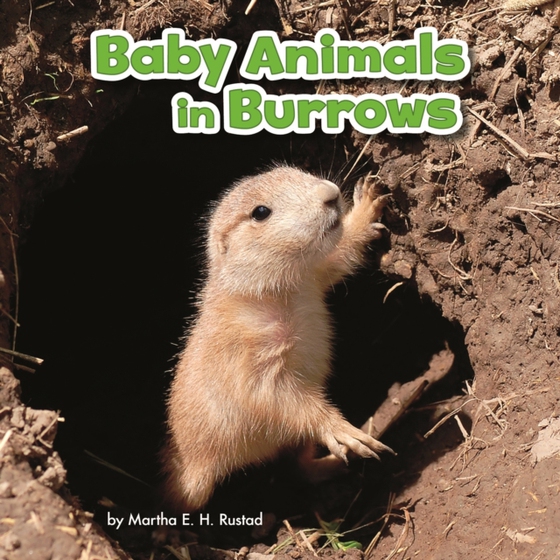 Baby Animals in Burrows