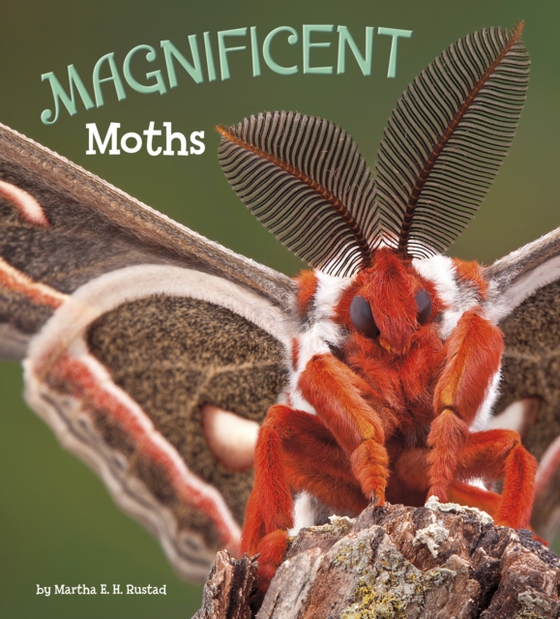 Magnificent Moths (e-bog) af Rustad, Martha E. H.