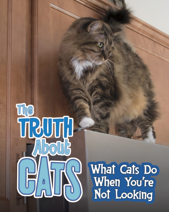 Truth about Cats