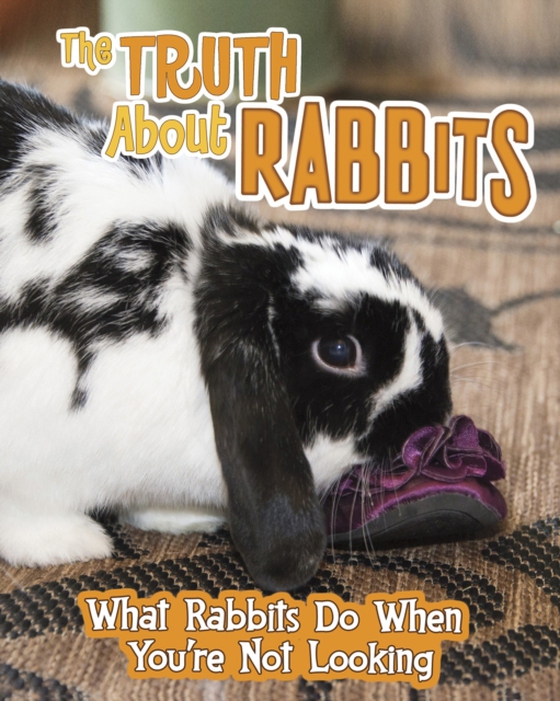 Truth about Rabbits (e-bog) af Colson, Mary