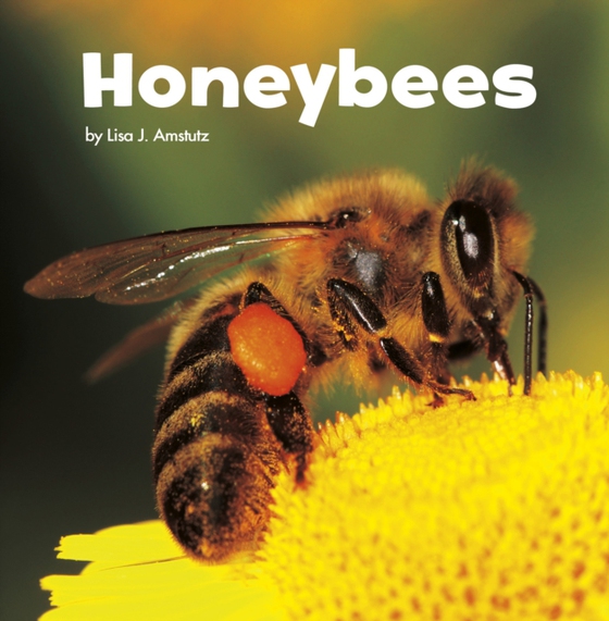 Honeybees (e-bog) af Amstutz, Lisa J.