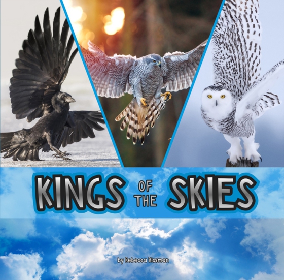 Kings of the Skies (e-bog) af Rissman, Rebecca