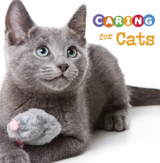 Caring for Cats (e-bog) af Gagne, Tammy
