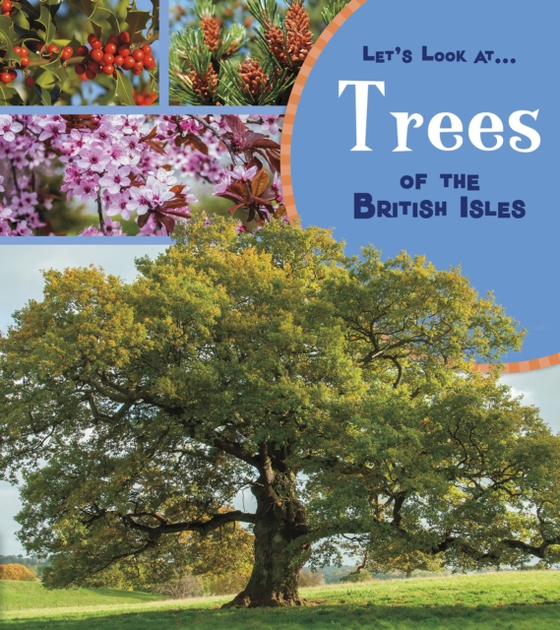 Trees of the British Isles (e-bog) af Beevor, Lucy