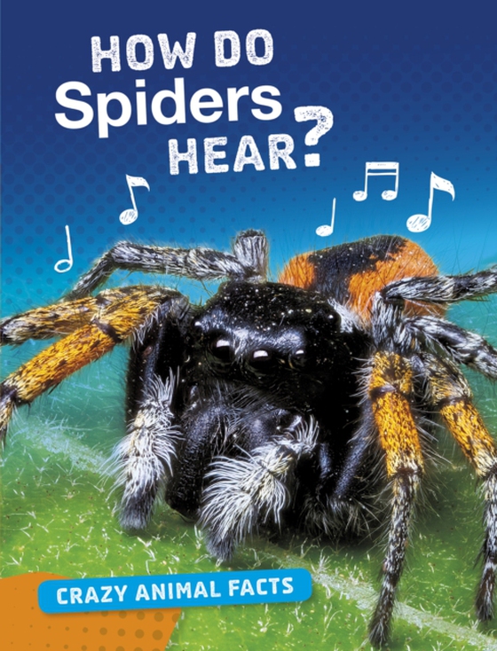 How Do Spiders Hear? (e-bog) af Furstinger, Nancy