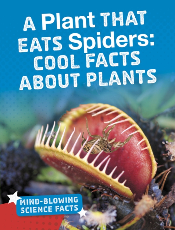 Plant That Eats Spiders