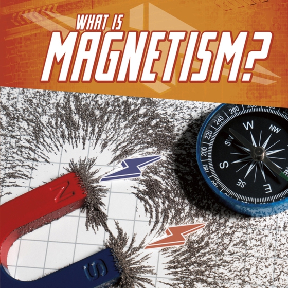 What Is Magnetism? (e-bog) af Weakland, Mark Andrew