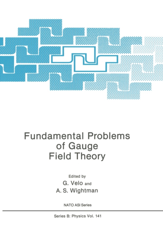 Fundamental Problems of Gauge Field Theory (e-bog) af -