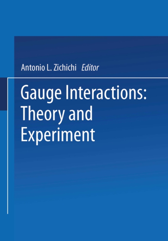 Gauge Interactions