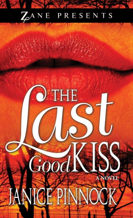 Last Good Kiss (e-bog) af Pinnock, Janice