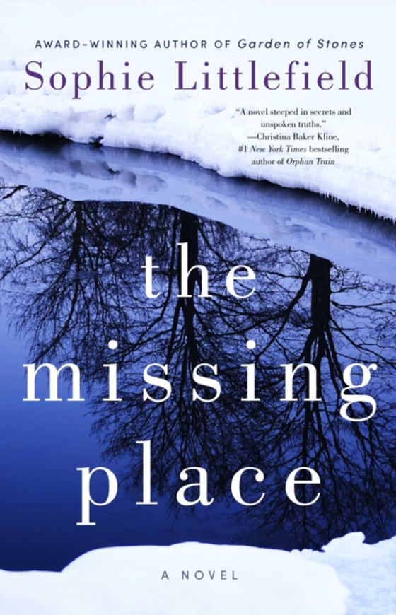 Missing Place (e-bog) af Littlefield, Sophie