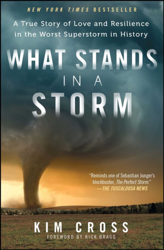 What Stands in a Storm (e-bog) af Cross, Kim