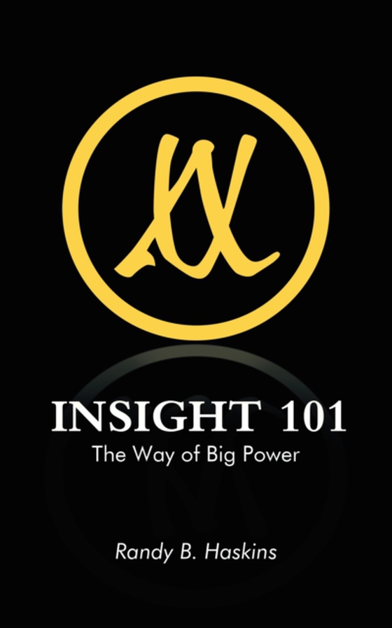 Insight 101 (e-bog) af Haskins, Randy B.