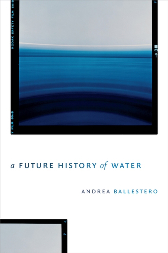 Future History of Water (e-bog) af Andrea Ballestero, Ballestero