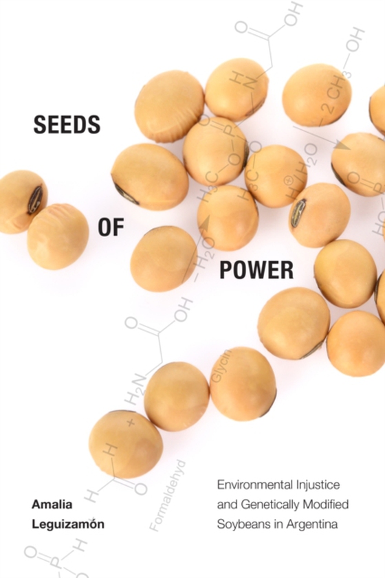 Seeds of Power (e-bog) af Amalia Leguizamon, Leguizamon