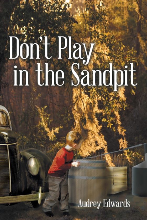 Don'T Play in the Sandpit (e-bog) af Edwards, Audrey