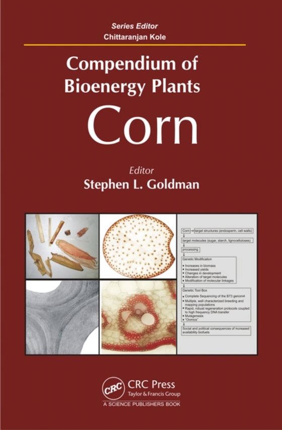 Compendium of Bioenergy Plants (e-bog) af -