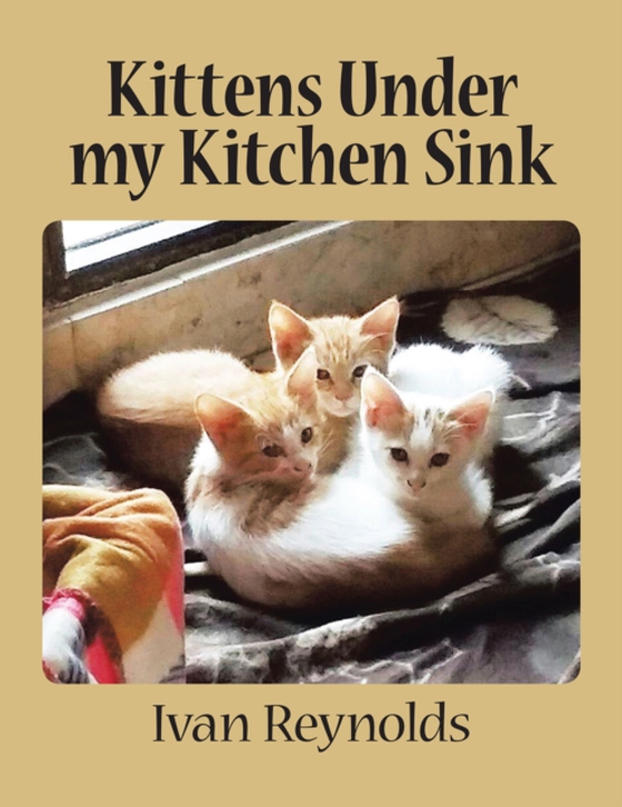 Kittens Under My Kitchen Sink (e-bog) af Reynolds, Ivan