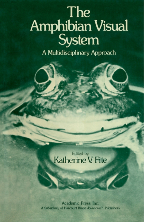 Amphibian Visual System (e-bog) af -
