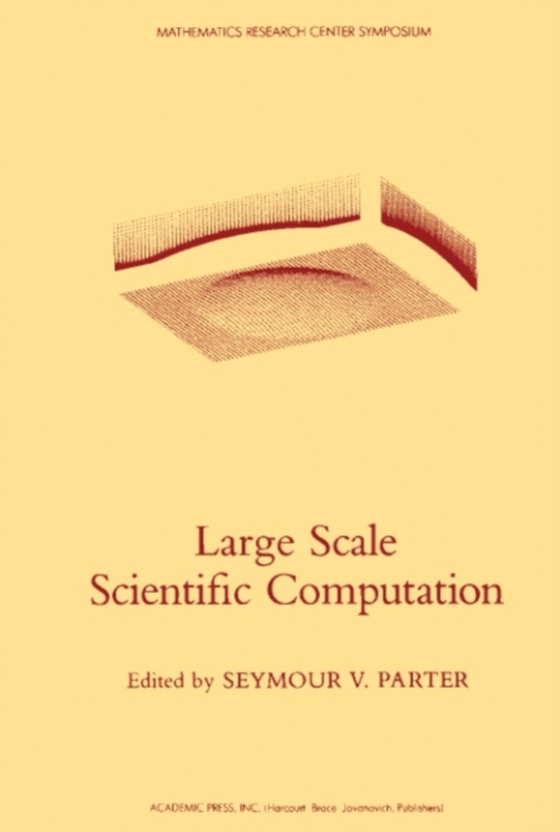 Large Scale Scientific Computation (e-bog) af -