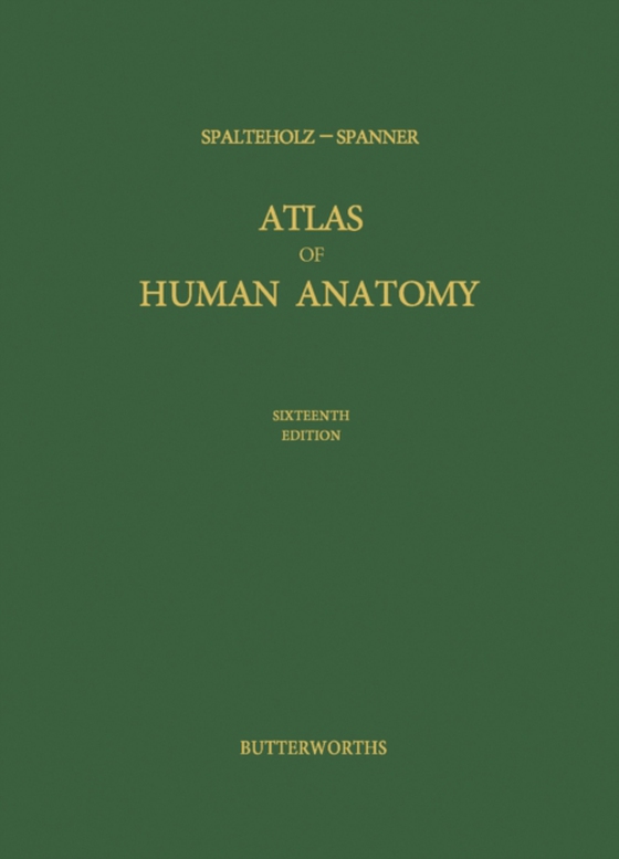 Atlas of Human Anatomy (e-bog) af Spalteholz, Werner