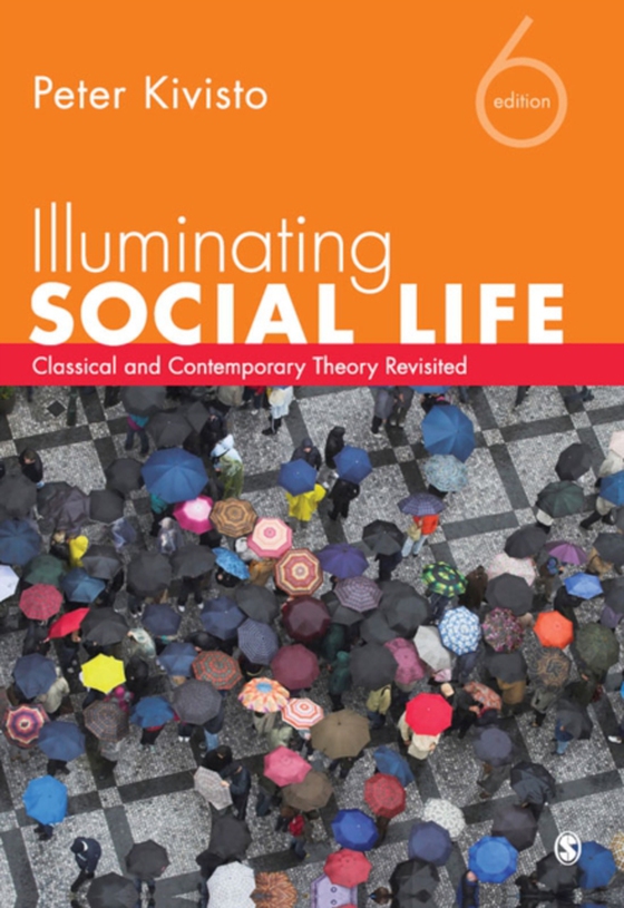 Illuminating Social Life (e-bog) af -