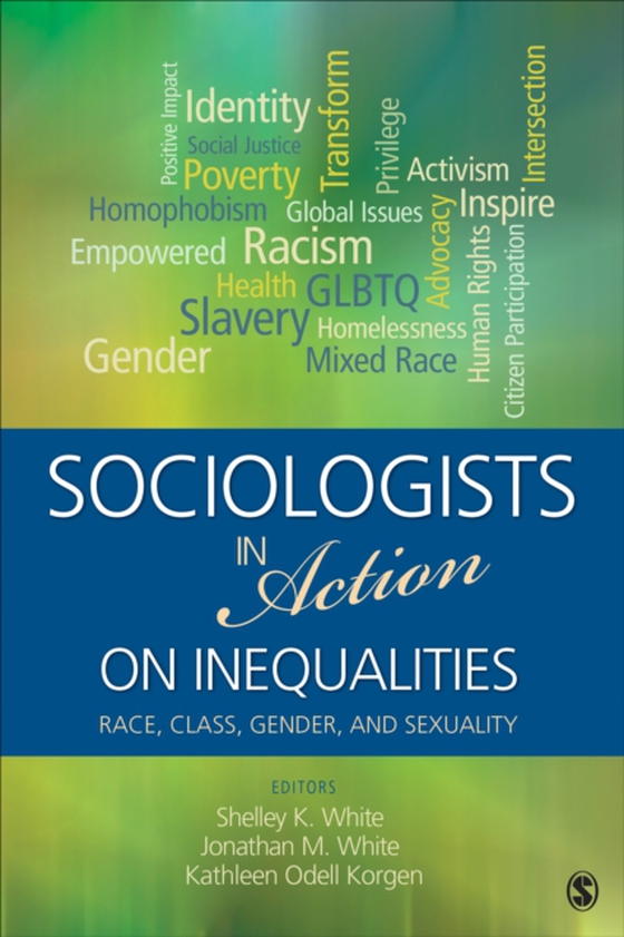 Sociologists in Action on Inequalities (e-bog) af -