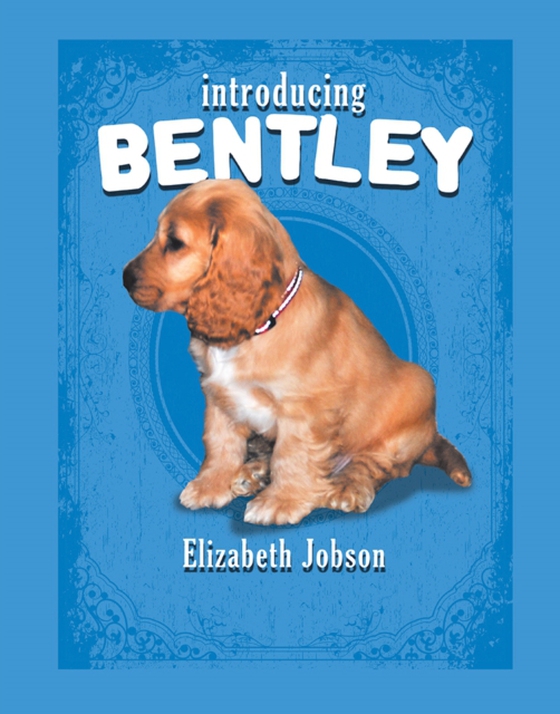 Introducing Bentley (e-bog) af Jobson, Elizabeth