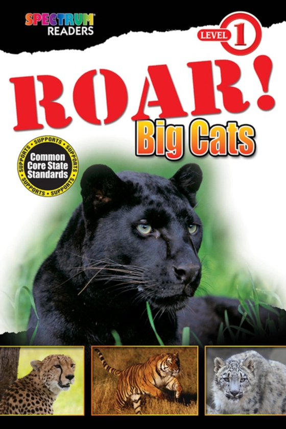 ROAR! Big Cats (e-bog) af Kurkov, Lisa