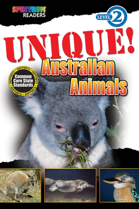 UNIQUE! Australian Animals