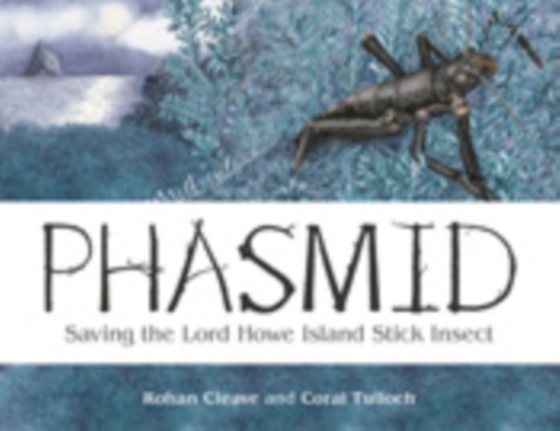 Phasmid