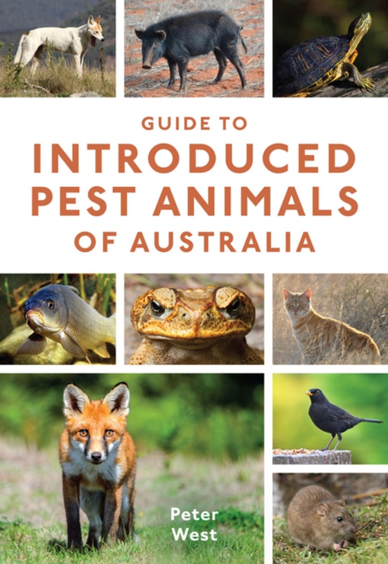 Guide to Introduced Pest Animals of Australia (e-bog) af West, Peter