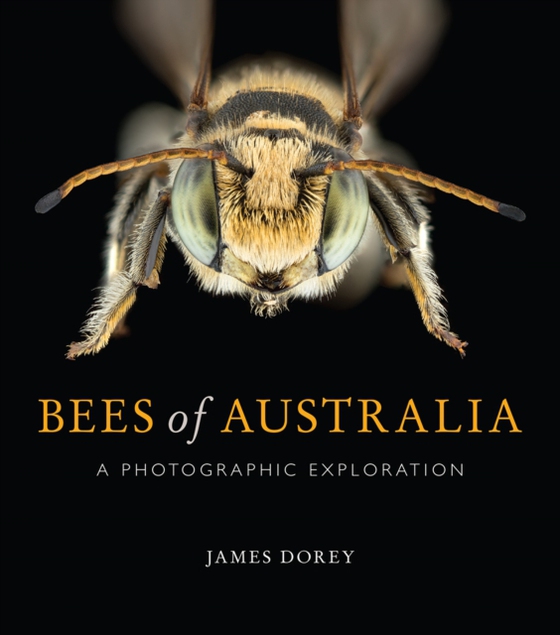 Bees of Australia (e-bog) af Dorey, James