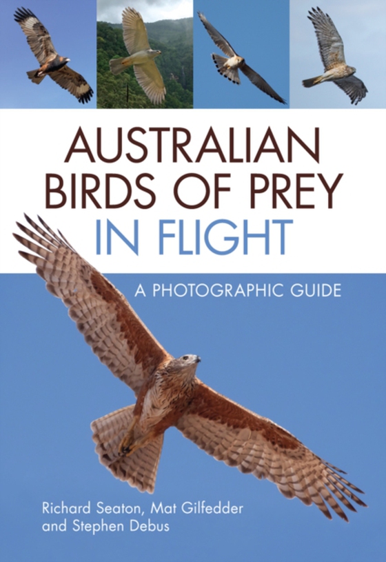 Australian Birds of Prey in Flight (e-bog) af Debus, Stephen