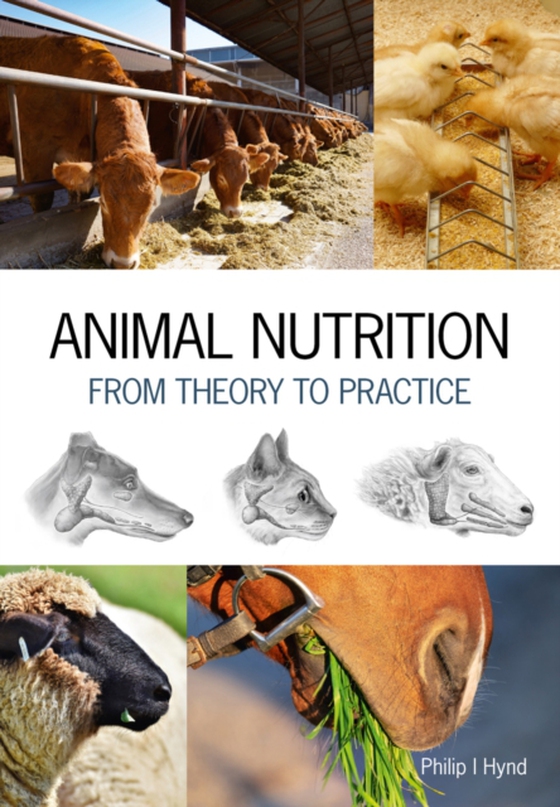 Animal Nutrition (e-bog) af Hynd, Philip I.